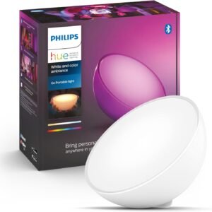 Philips Hue Go