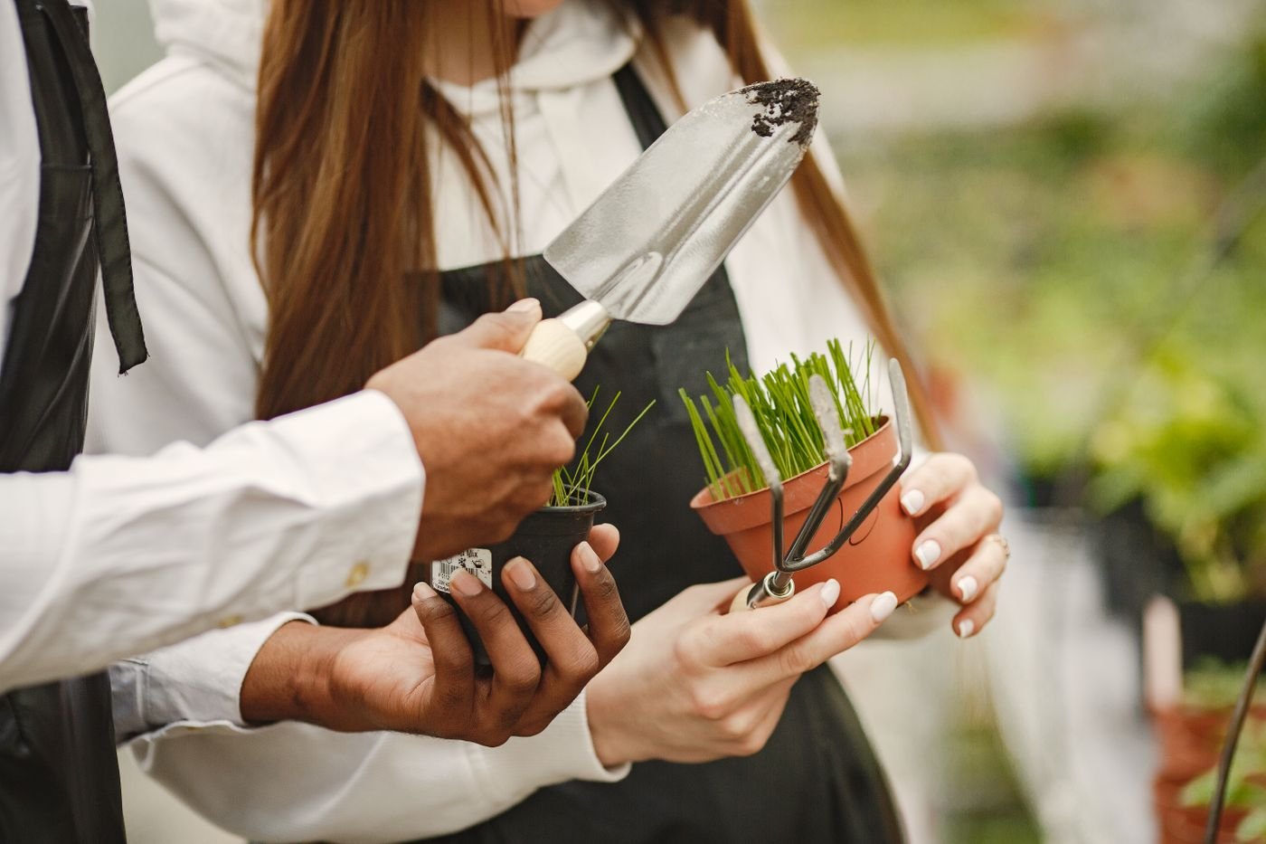 Idées cadeaux Jardin