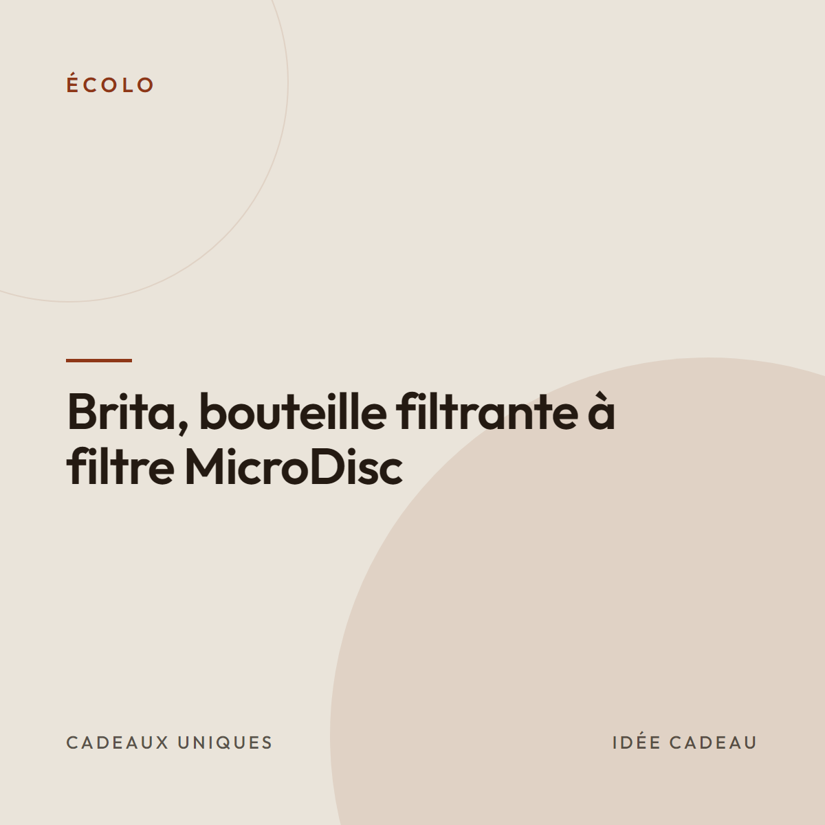 Brita, bouteille filtrante à filtre MicroDisc