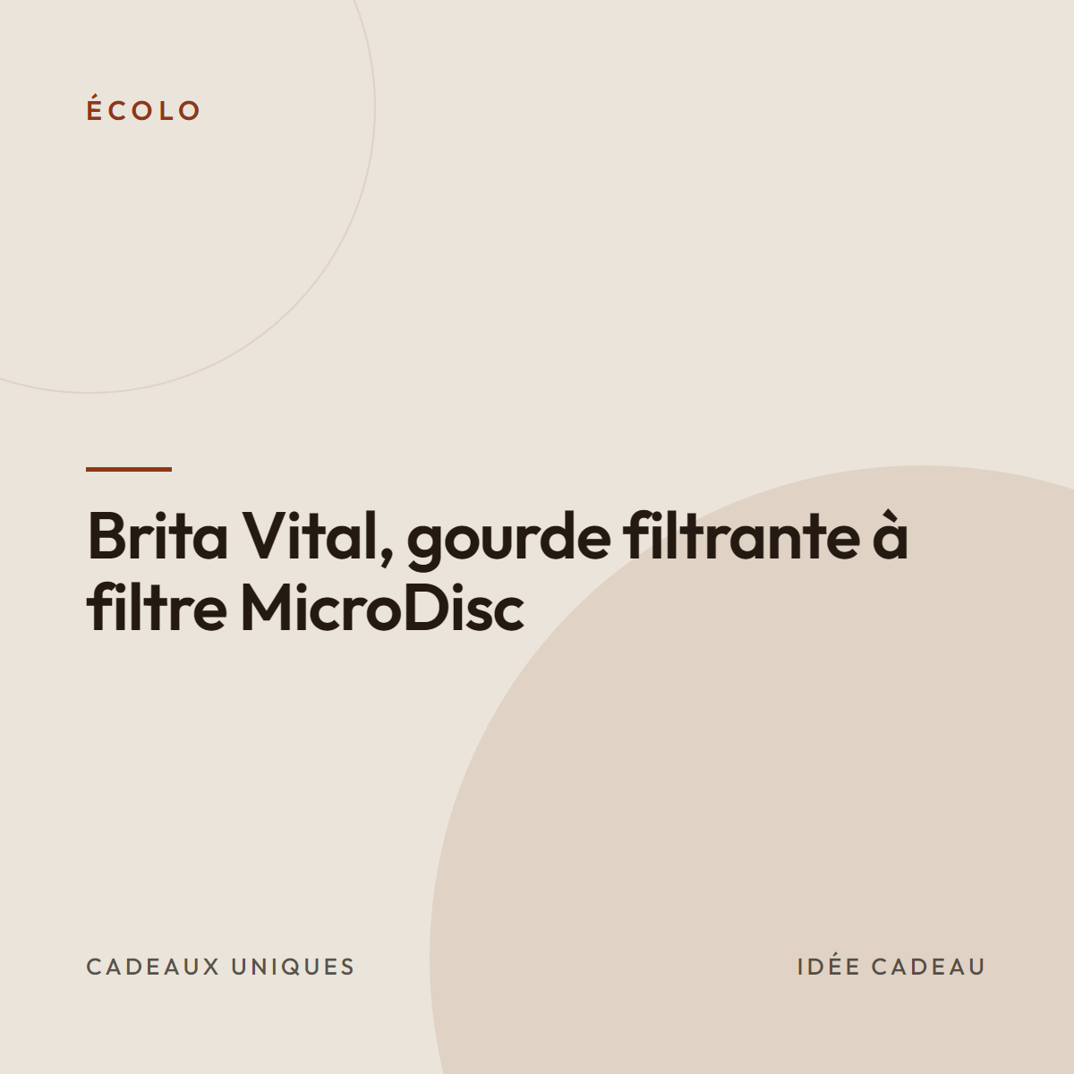 Brita Vital, gourde filtrante à filtre MicroDisc