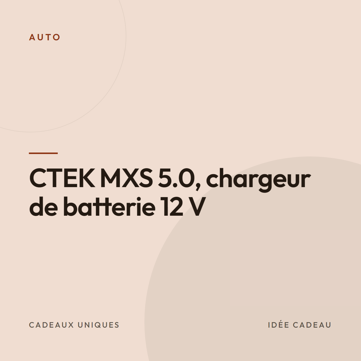 CTEK MXS 5.0, chargeur de batterie 12 V
