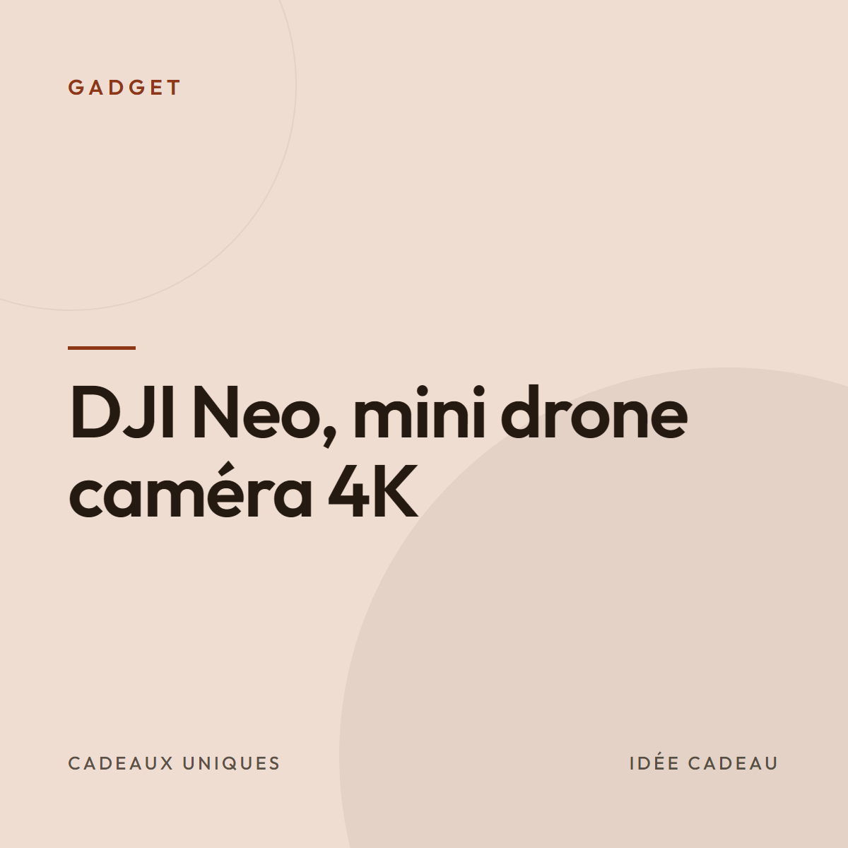 DJI Neo, mini drone caméra 4K