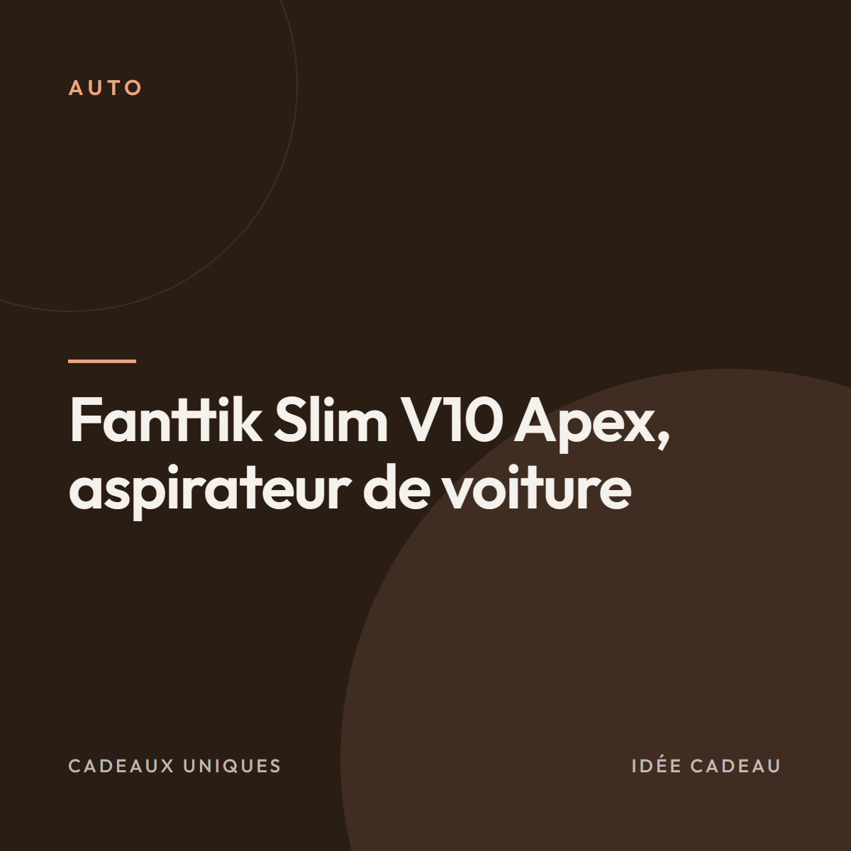 Fanttik Slim V10 Apex, aspirateur de voiture