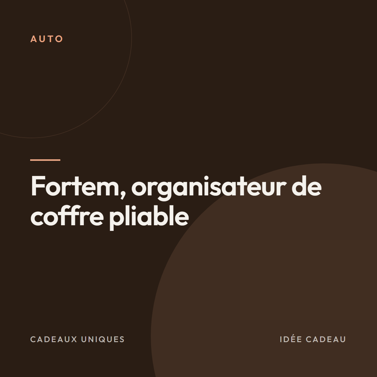 Fortem, organisateur de coffre pliable