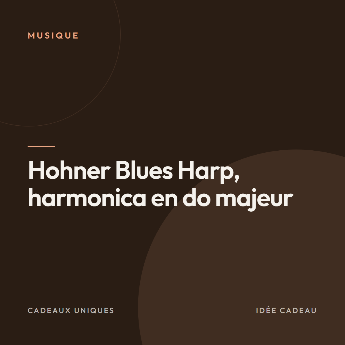 Hohner Blues Harp, harmonica en do majeur