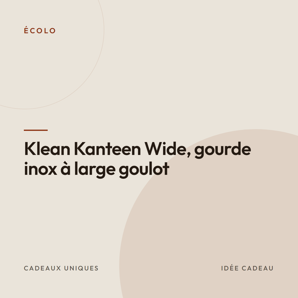 Klean Kanteen Wide, gourde inox à large goulot
