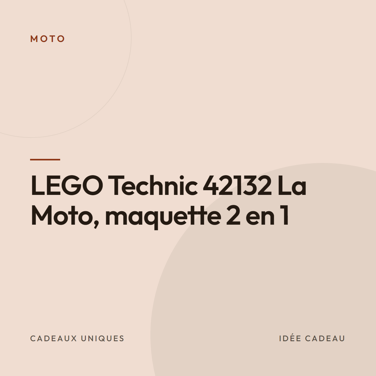 LEGO Technic 42132 La Moto, maquette 2 en 1