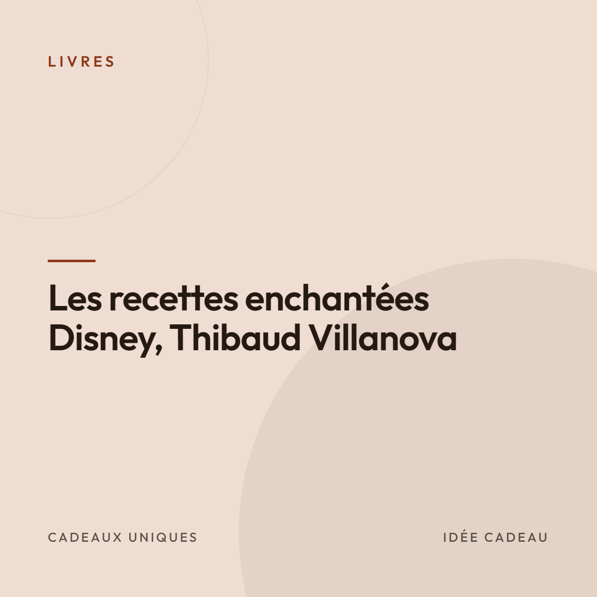 Les recettes enchantées Disney, Thibaud Villanova