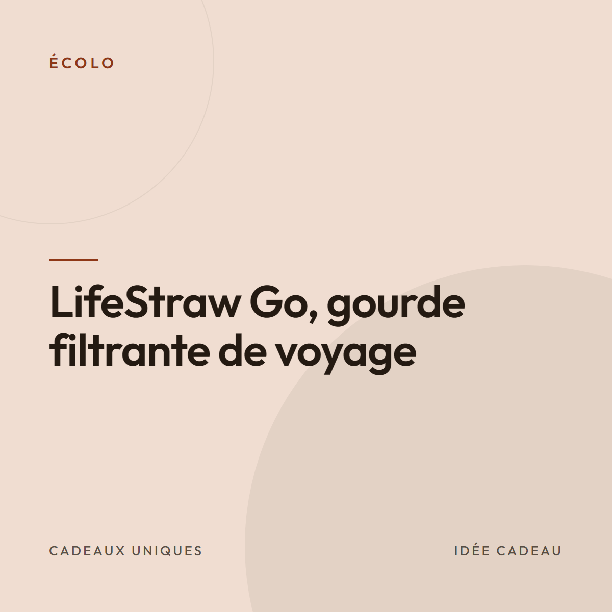 LifeStraw Go, gourde filtrante de voyage