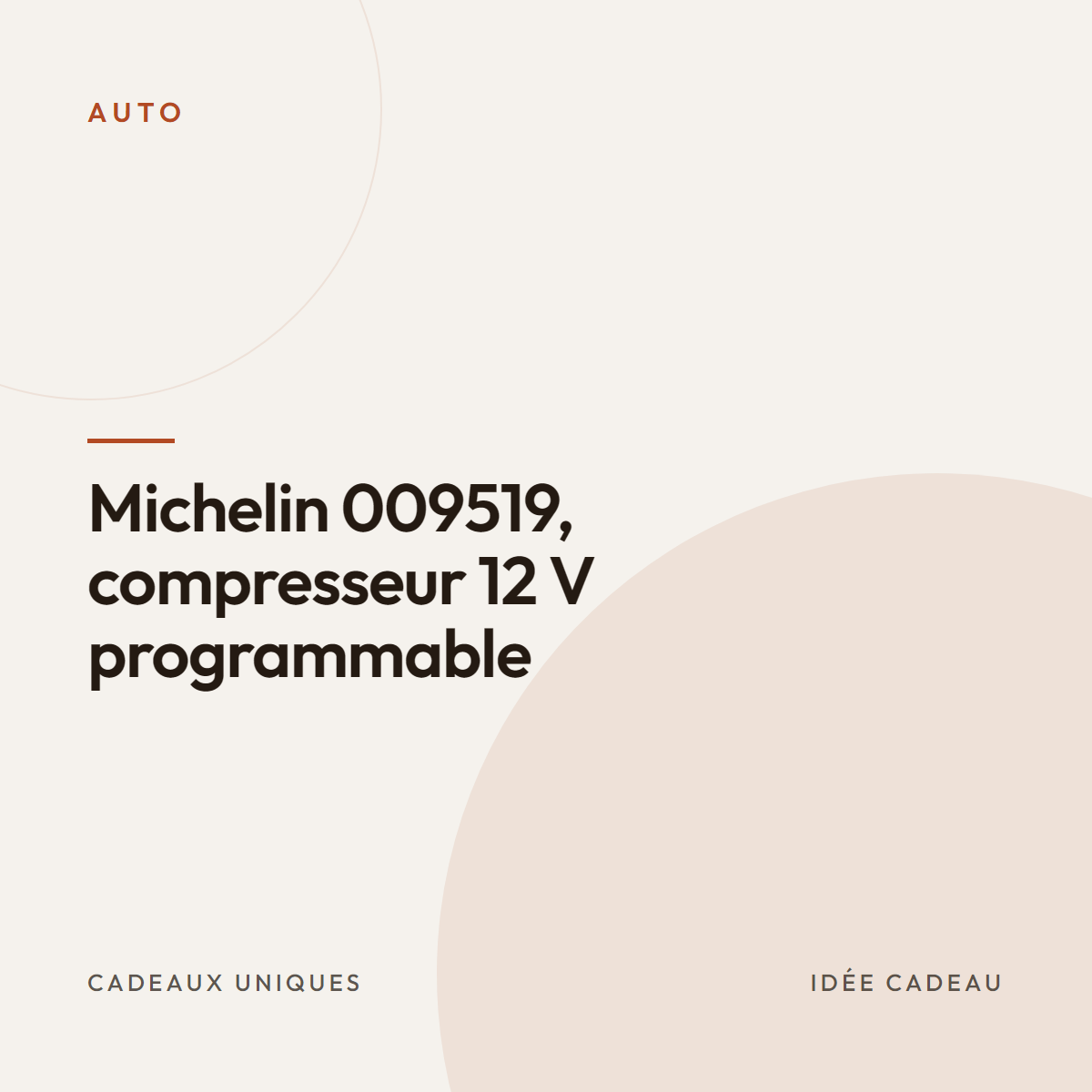 Michelin 009519, compresseur 12 V programmable