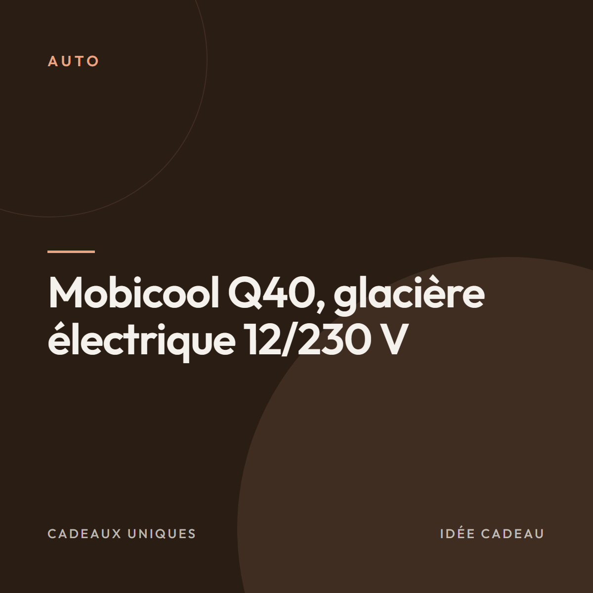 Mobicool Q40, glacière électrique 12/230 V