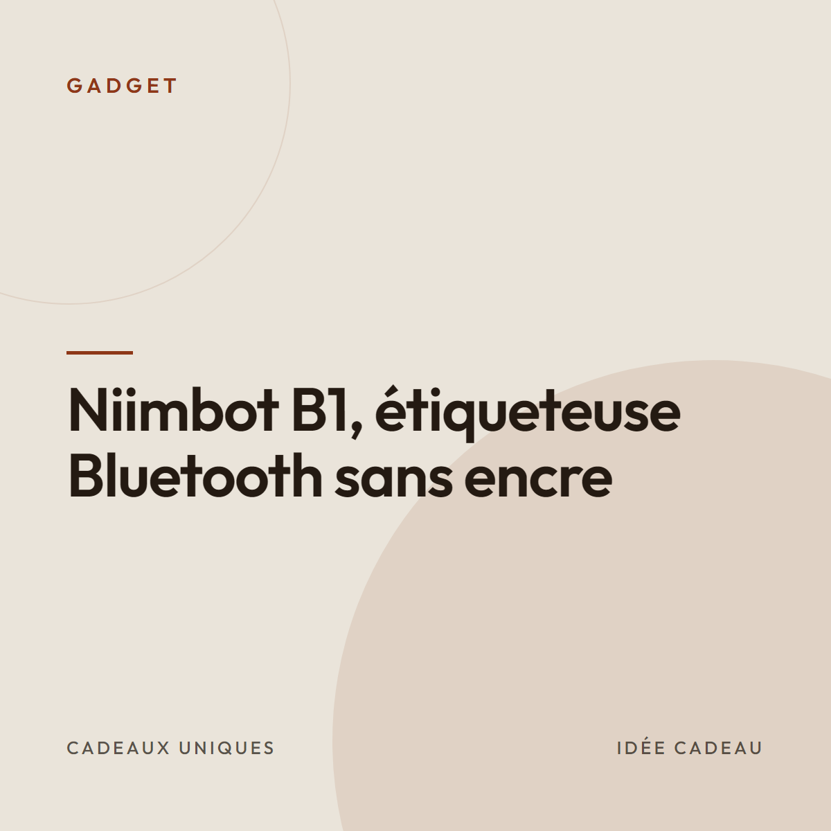 Niimbot B1, étiqueteuse Bluetooth sans encre