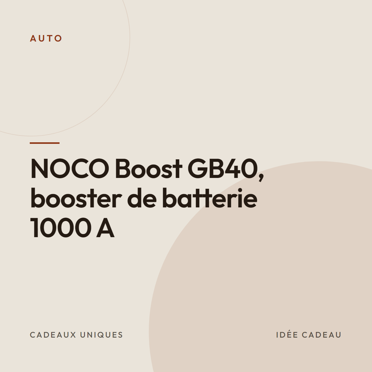NOCO Boost GB40, booster de batterie 1000 A