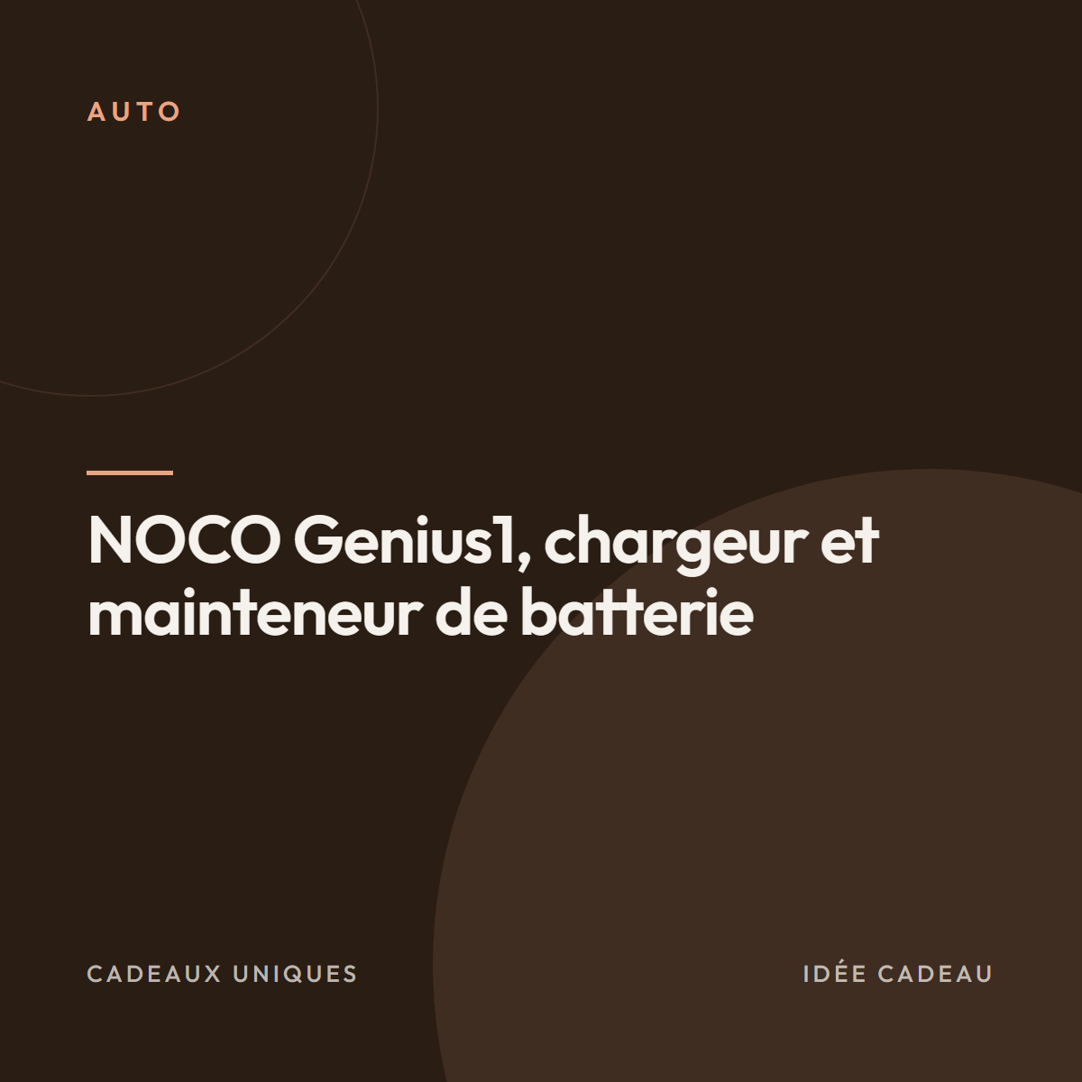 NOCO Genius1, chargeur et mainteneur de batterie
