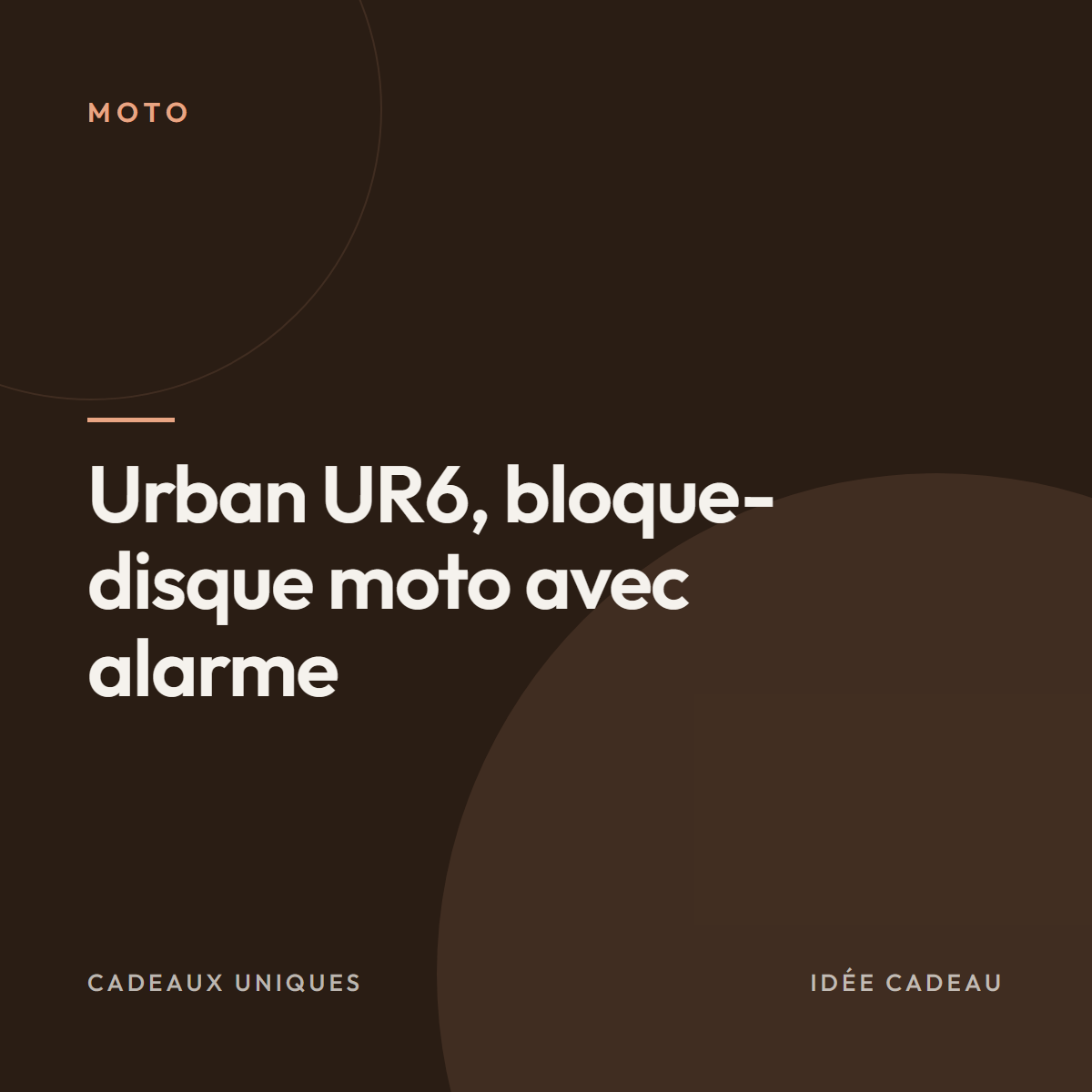 Urban UR6, bloque-disque moto avec alarme